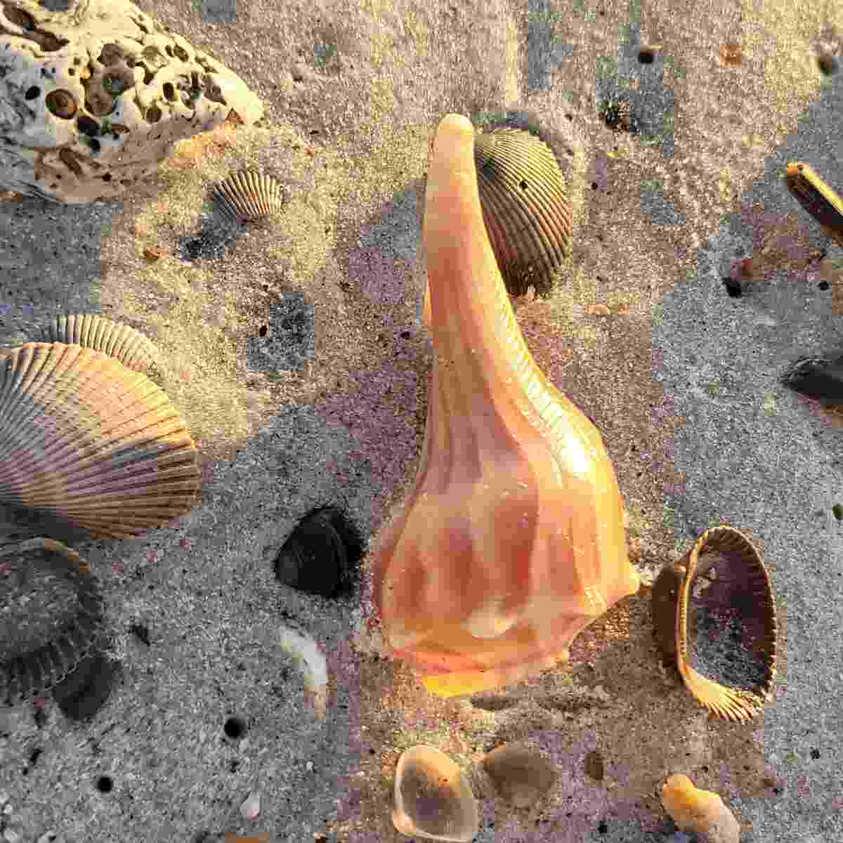 Amelia Island historic Fernandina Beach – 2026