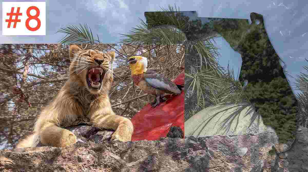 Miami beaches and South Florida – 2026