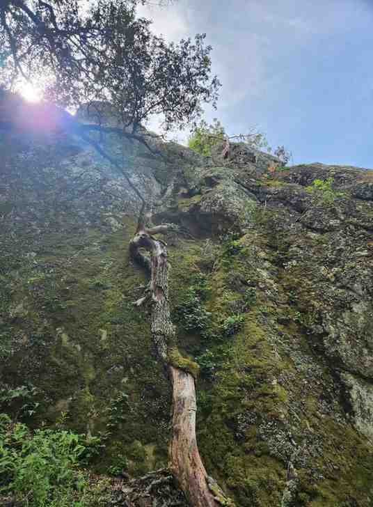 Mount Diablo summit with 360-degree views and camping area