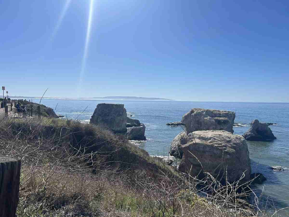 Shell Beach with La Jolla seals and cave access