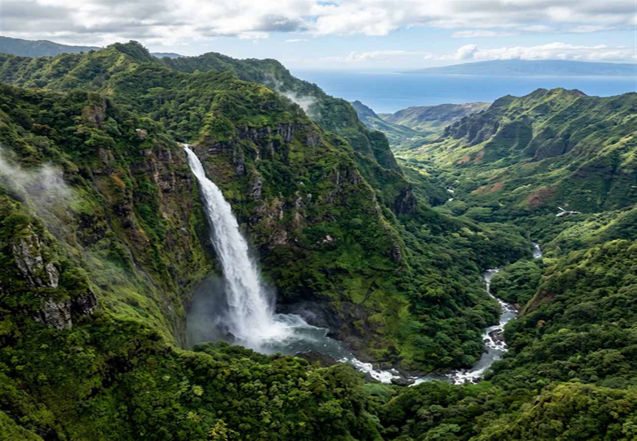 Honokohau Falls Maui aerial view — Hawaii's tallest waterfall at 1100 feet in the West Maui Mountains