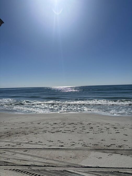 Pristine undeveloped barrier island beach at Bear Island Hammocks Beach State Park with no commercial development, North Carolina