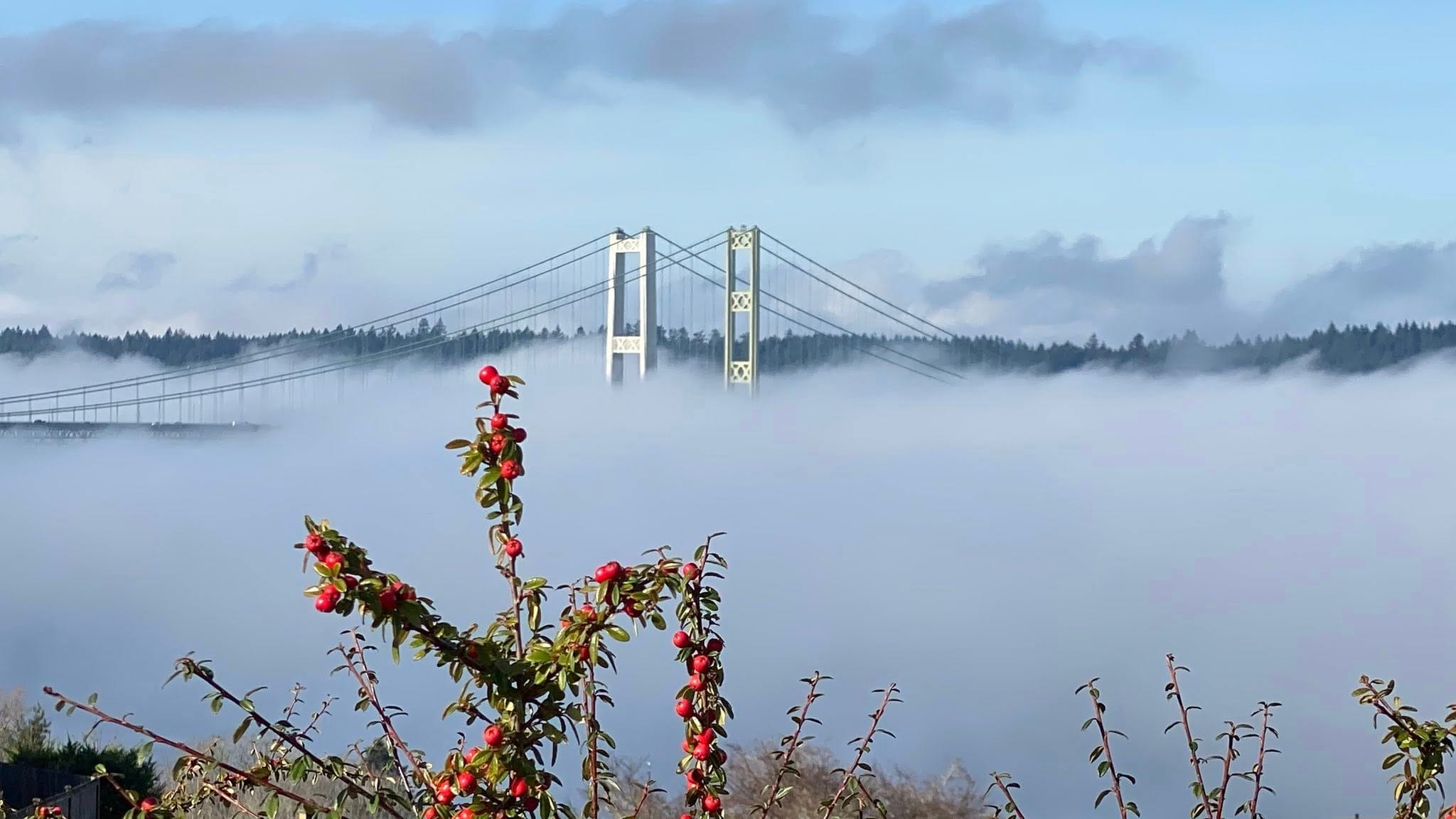 Tacoma Washington waterfront with Puget Sound and Mount Rainier in the distance