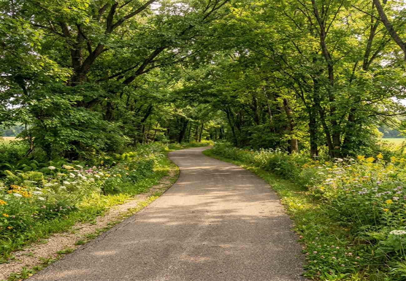 Scenic Sugar River State Trail