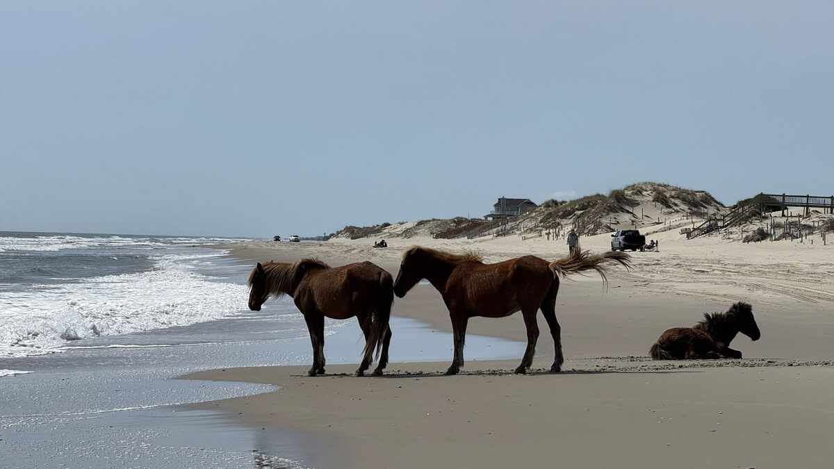 Outer Banks dunes and historic lighthouses – 2026