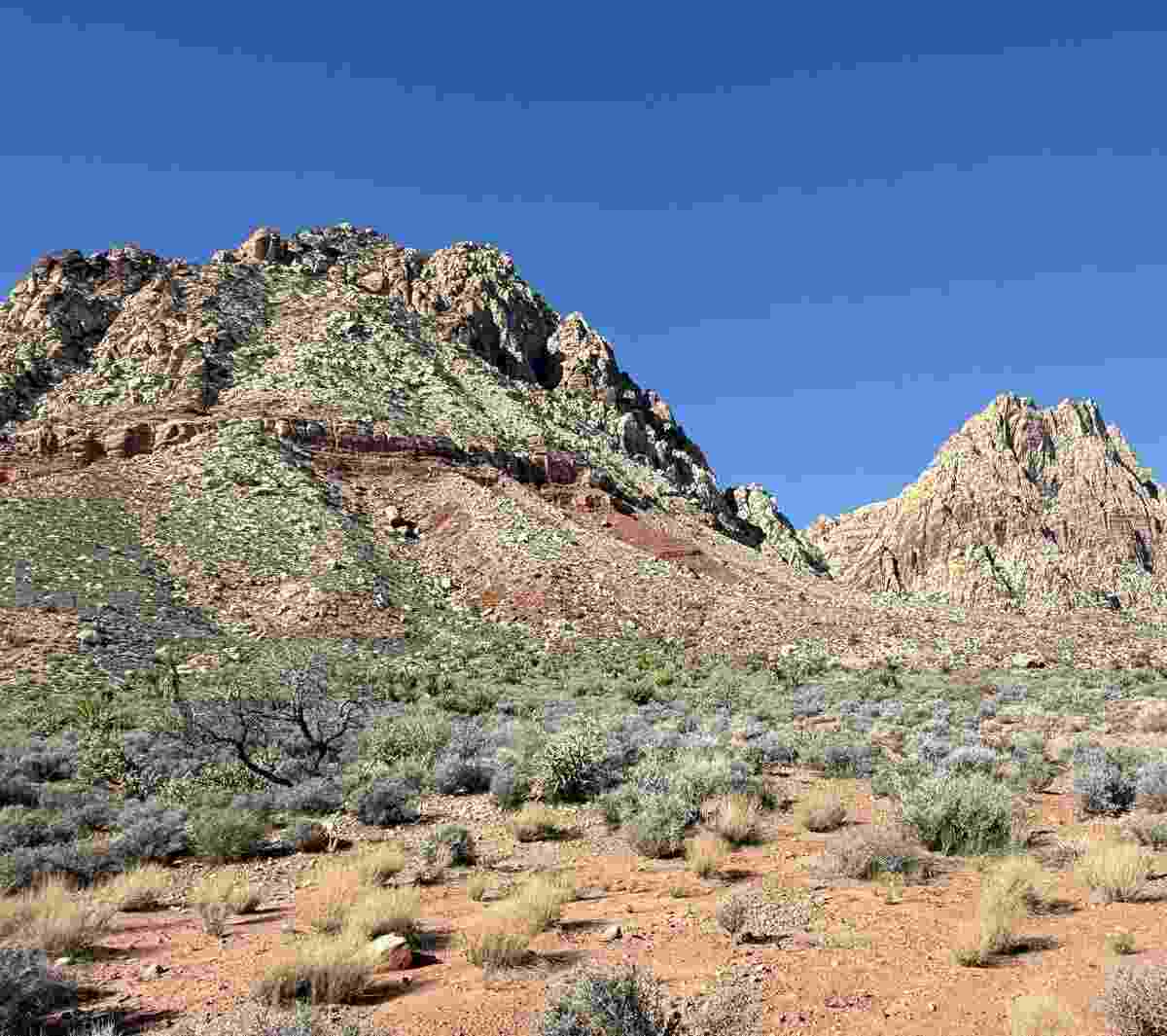 Spring Mountain Ranch historic buildings and green oasis