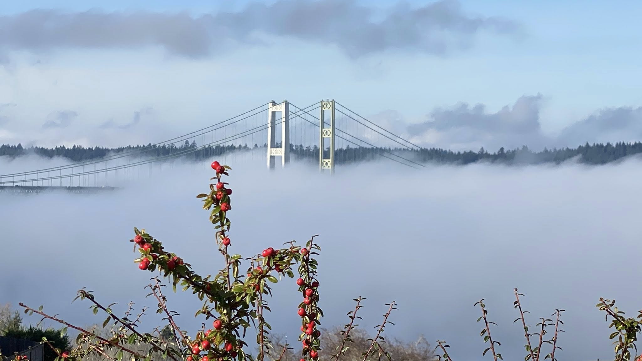 Tacoma Washington waterfront with Puget Sound and Mount Rainier in the distance