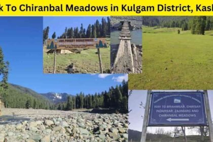 Trek To Chiranbal Meadows in Kulgam District