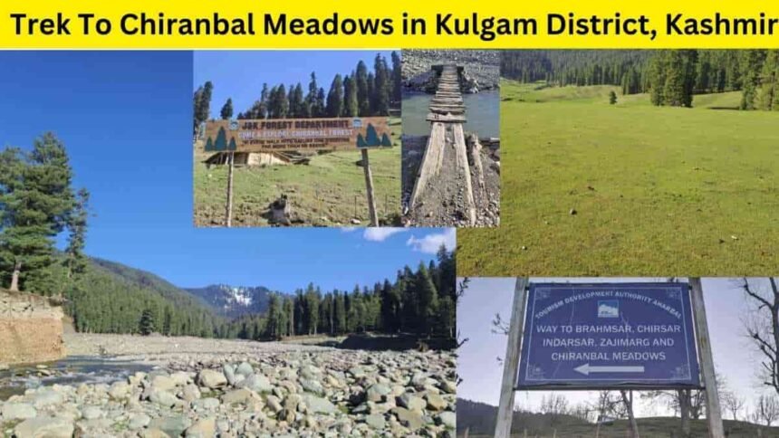 Discover the Majestic Chiranbal Meadows: Trekking Adventure in Kulgam, Kashmir