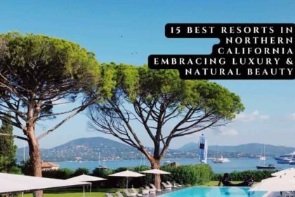 15 Best Resorts in Northern California Embracing Luxury & Natural Beauty
