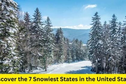 Discover the 7 Snowiest States in the United States