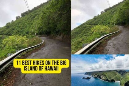 11 Best Hikes on the Big Island of Hawaii