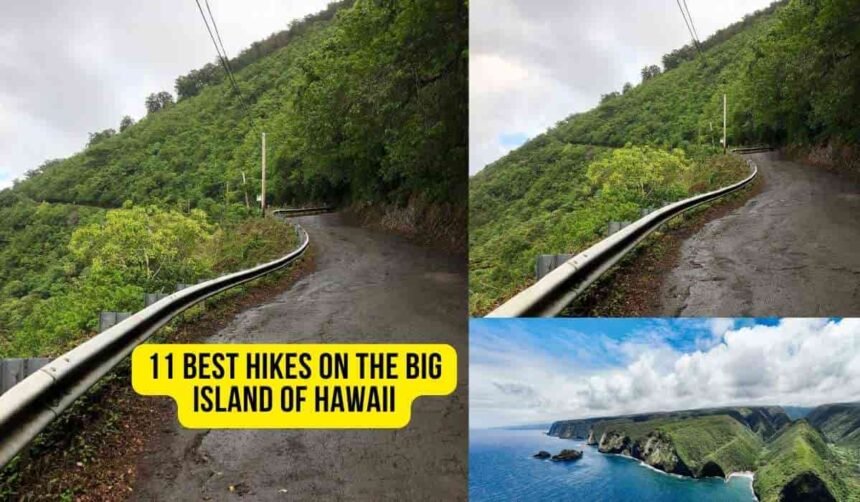 11 Best Hikes on the Big Island of Hawaii