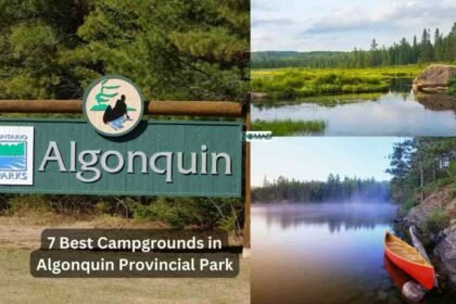 7 Best Campgrounds in Algonquin Provincial Park