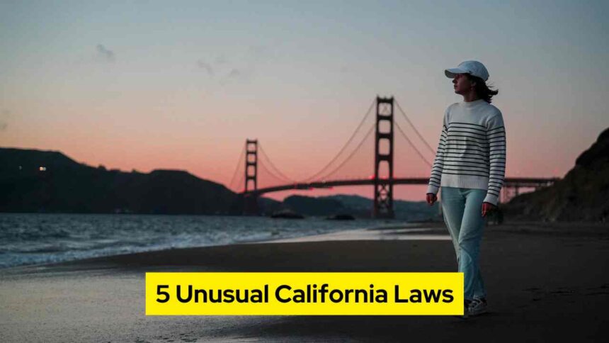 5 Unusual California Laws Tourists Should Know Before Your Adventure